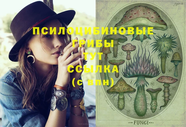 apvp Абаза