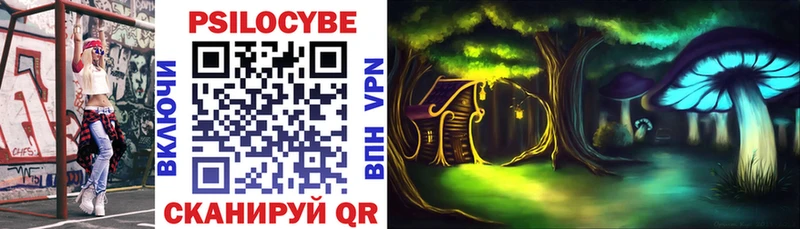 Галлюциногенные грибы Psilocybe Сусуман